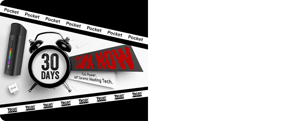 Yocan Head Shop Pioneer Program bg