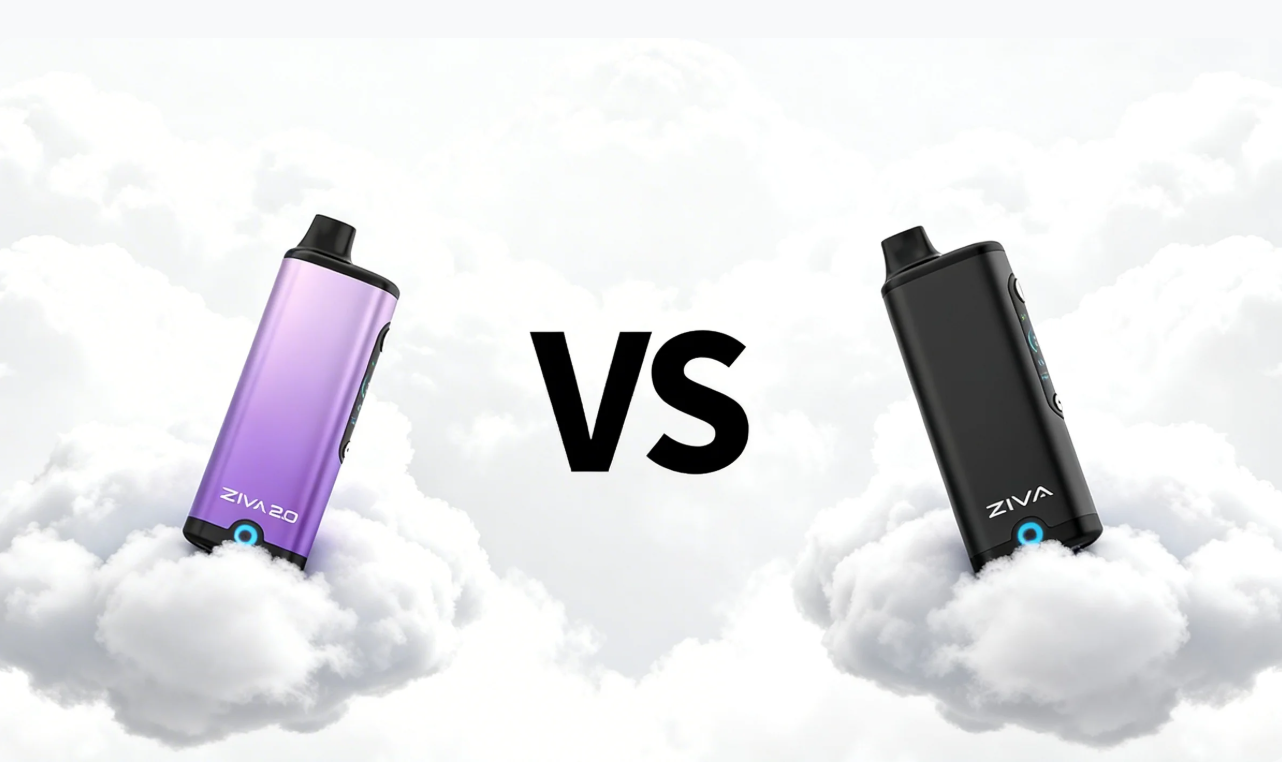 Ziva VS ZIVA 2.0